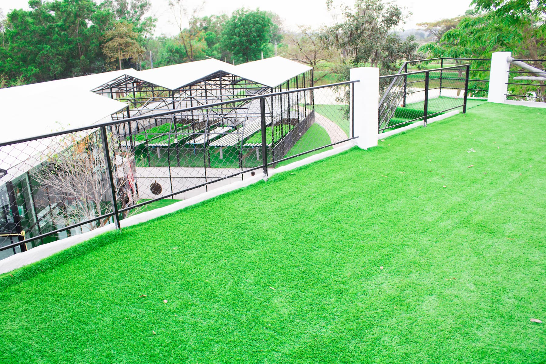 artificial turf & fake grass experts