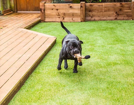 reputable artificial turf & fake grass