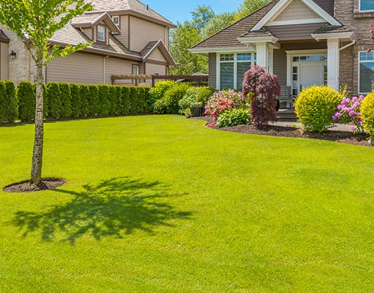 local artificial turf & fake grass